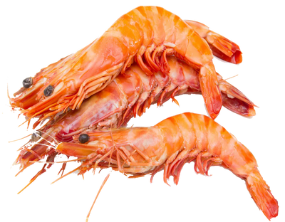 Gambas 10/15