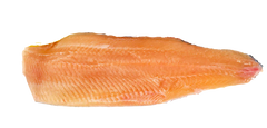 Isländsk Fjällröding