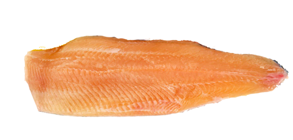 Svensk Fjällröding från Vilhelmina