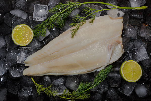 Kungsflundra (Rödspätta)