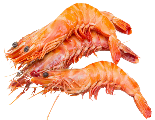 Gambas 10/15 - 400G