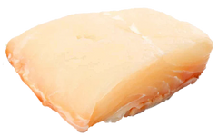 Hälleflundra